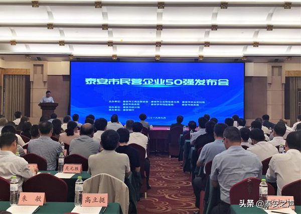 公司入選“泰安市民營企業(yè)50強”