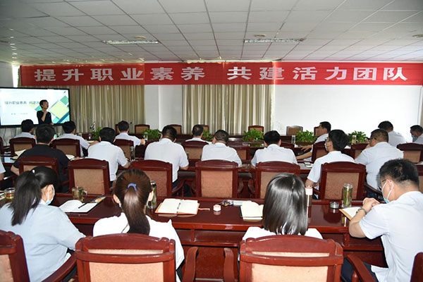 公司舉辦“提升職業(yè)素養(yǎng) 共建活力團(tuán)隊(duì)”專(zhuān)題培訓(xùn)