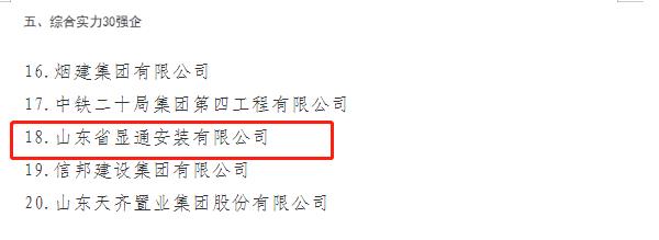 公司榮獲“山東省建筑業(yè)綜合實(shí)力30強(qiáng)企”稱號(hào)