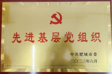喜報！公司黨委榮獲肥城市“先進基層黨組織”榮譽稱號