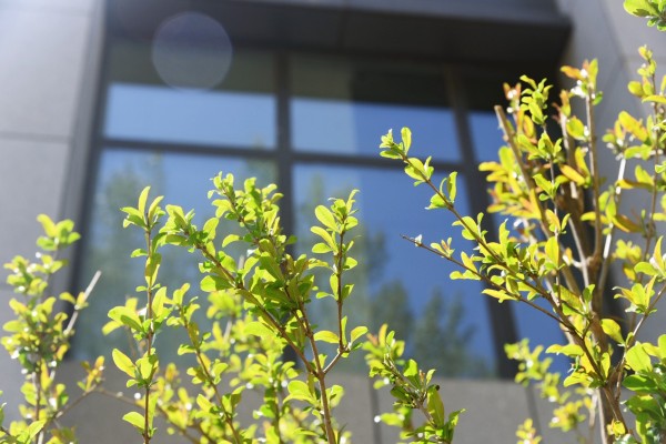 司園春景盛，奮進(jìn)正當(dāng)時(shí)