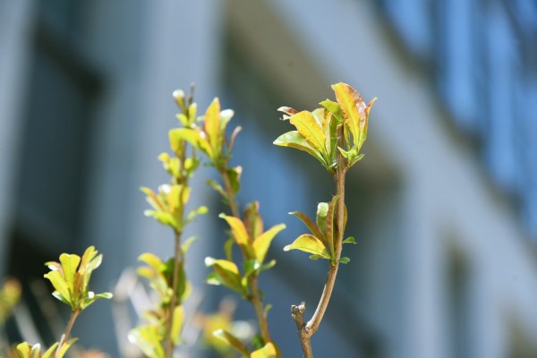 司園春景盛，奮進(jìn)正當(dāng)時(shí)