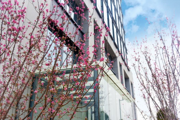 司園春景盛，奮進(jìn)正當(dāng)時(shí)