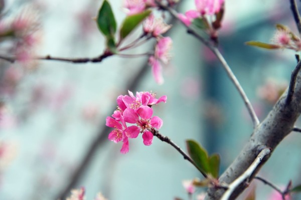 司園春景盛，奮進(jìn)正當(dāng)時(shí)