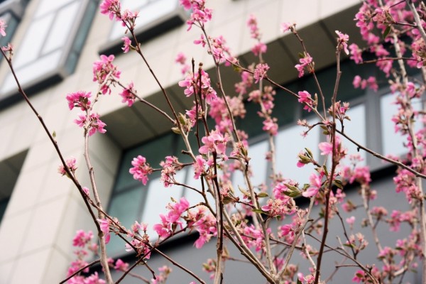 司園春景盛，奮進(jìn)正當(dāng)時(shí)