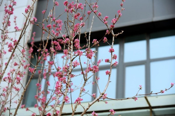 司園春景盛，奮進(jìn)正當(dāng)時(shí)