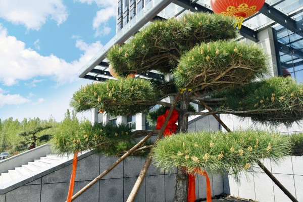 司園春景盛，奮進(jìn)正當(dāng)時(shí)