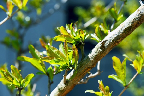 司園春景盛，奮進(jìn)正當(dāng)時(shí)